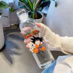 Bouteille Dragon Ball avec Goku et Krilin