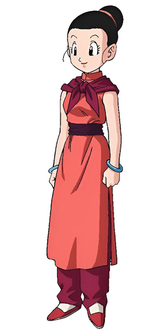 Costume adulte Chichi Dragon Ball Z, tailles XXS à 3XL – Image 4