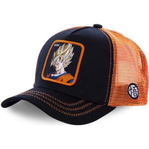Article Dragon Ball pour la Boutique Dragon Ball