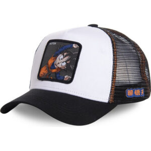Sélection Dragon Ball pour la Boutique Dragon Ball